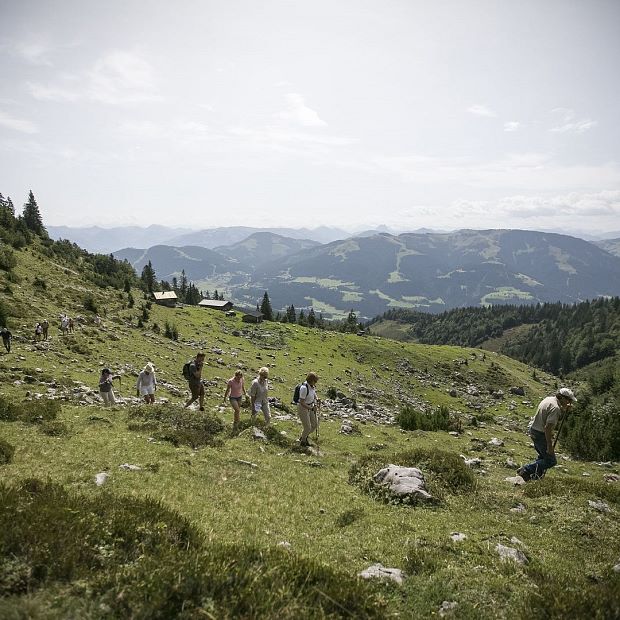 The KCC hunting grounds