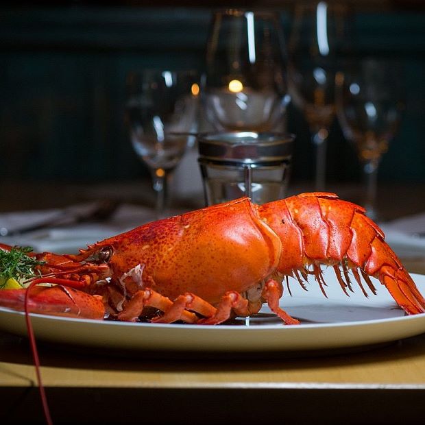 Exquisite lobster