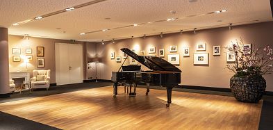 Steinway Salon